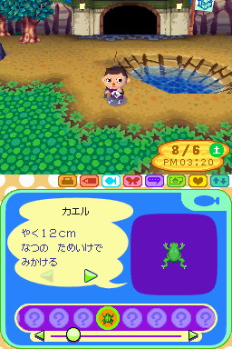 Animal Crossing DS en images