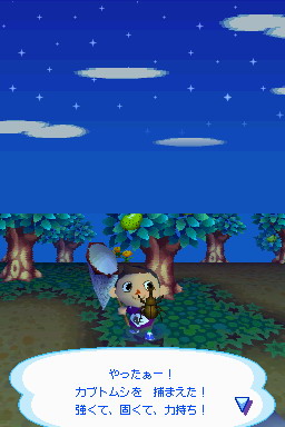 Animal Crossing DS en images