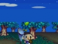 Animal Crossing DS en images