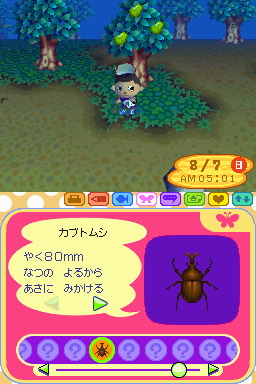 Animal Crossing DS en images