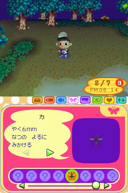 Animal Crossing DS en images