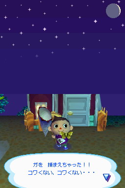 Animal Crossing DS en images