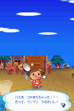 Animal Crossing DS en images