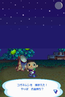Animal Crossing DS en images