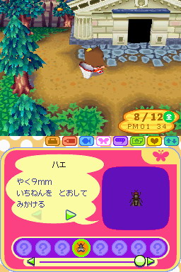 Animal Crossing DS en images
