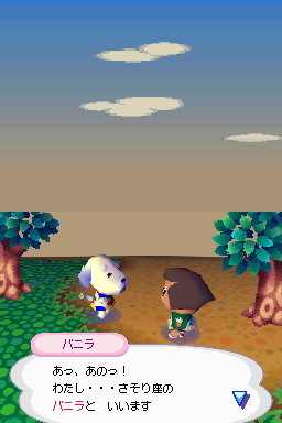 Animal Crossing DS en images