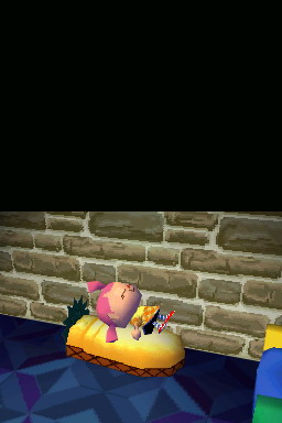 Animal Crossing DS en images
