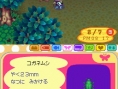 Animal Crossing DS en images