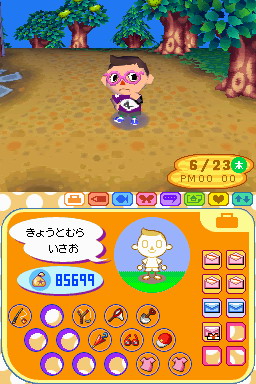 Animal Crossing DS en images