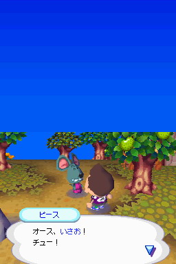 Animal Crossing DS en images