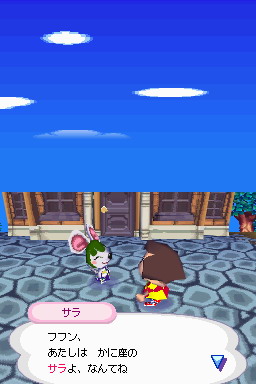 Animal Crossing DS en images