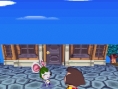 Animal Crossing DS en images