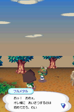 Animal Crossing DS en images
