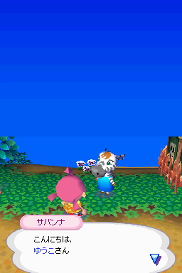 Animal Crossing DS en images