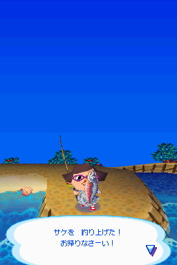 Animal Crossing DS en images