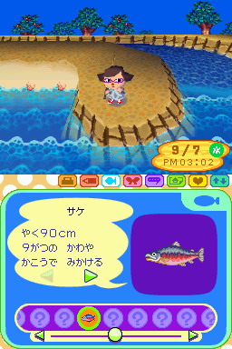 Animal Crossing DS en images