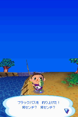Animal Crossing DS en images