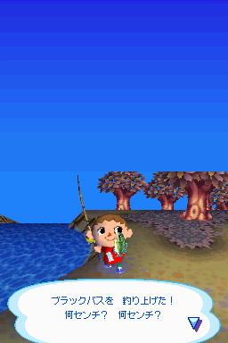 Animal Crossing DS en images