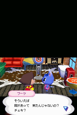 Animal Crossing DS en images