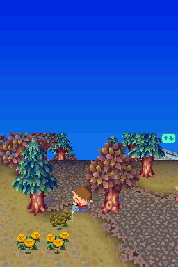 Animal Crossing DS en images
