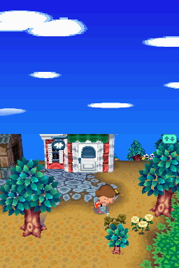 Animal Crossing DS en images