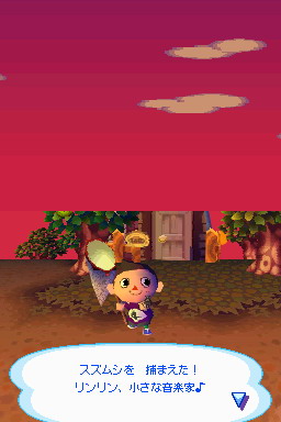 Animal Crossing DS en images
