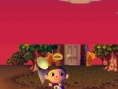 Animal Crossing DS en images