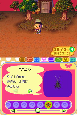 Animal Crossing DS en images