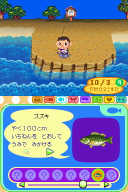 Animal Crossing DS en images