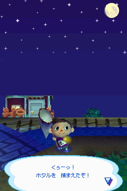 Animal Crossing DS en images