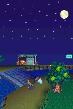 Animal Crossing DS en images