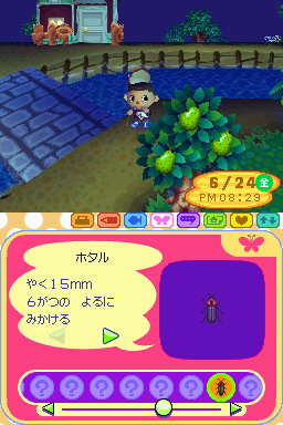 Animal Crossing DS en images