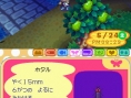 Animal Crossing DS en images