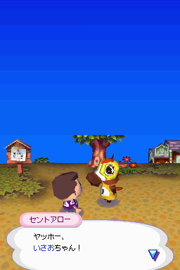 Animal Crossing DS en images