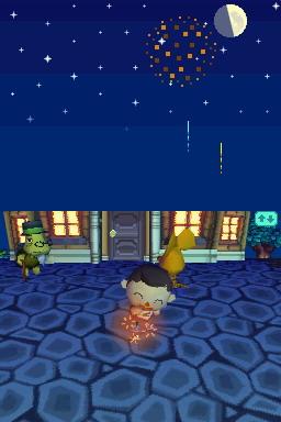 Animal Crossing DS en images