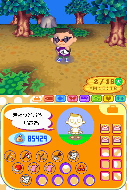 Animal Crossing DS en images