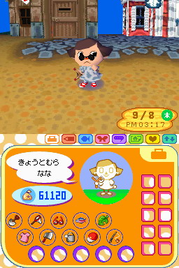 Animal Crossing DS en images