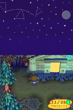 Animal Crossing DS en images