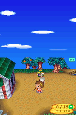 Animal Crossing DS en images