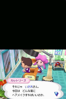 Animal Crossing DS en images