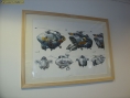 Battalion Wars