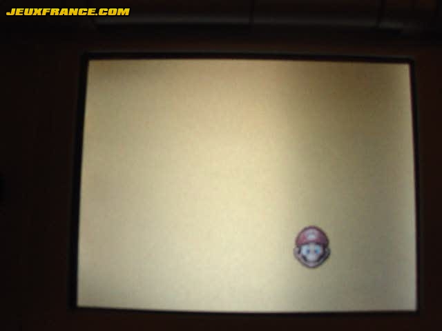 Super Mario 64 DS : Wanted !