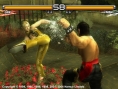 Tekken 5 : une avalanche d'images
