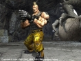 Tekken 5 : une avalanche d'images
