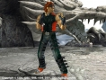 Tekken 5 : une avalanche d'images