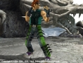 Tekken 5 : une avalanche d'images
