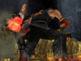 Tekken 5: Le défilé des combattants
