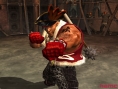 Tekken 5: Le défilé des combattants