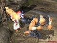 Tekken 5 : Flopée d'images
