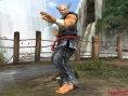 Tekken 5 : Flopée d'images